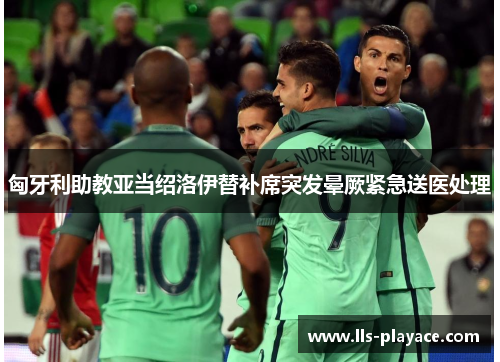 匈牙利助教亚当绍洛伊替补席突发晕厥紧急送医处理