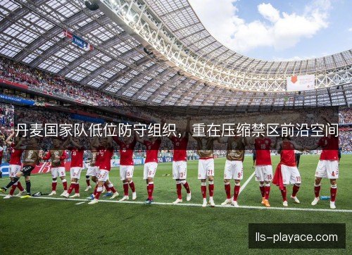 丹麦国家队低位防守组织，重在压缩禁区前沿空间